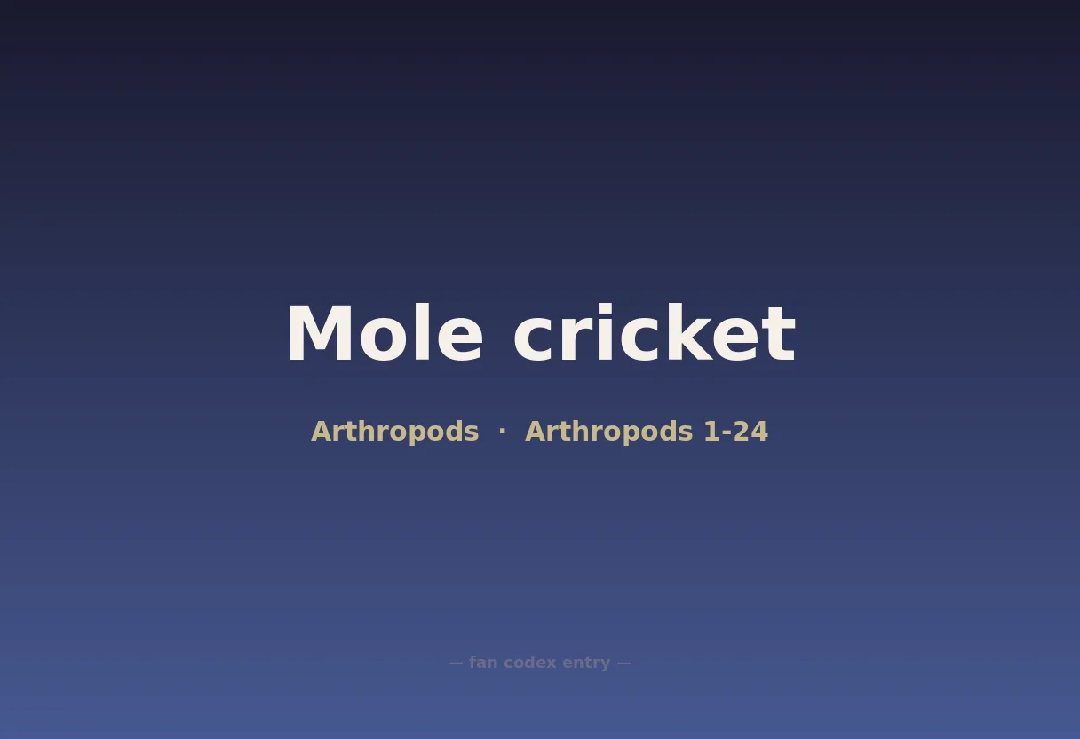 Mole cricket