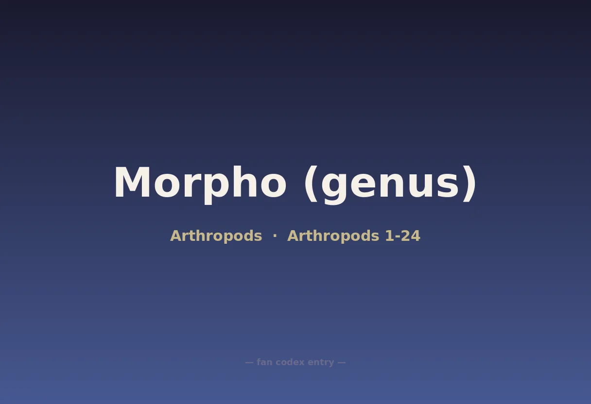 Morpho (genus)