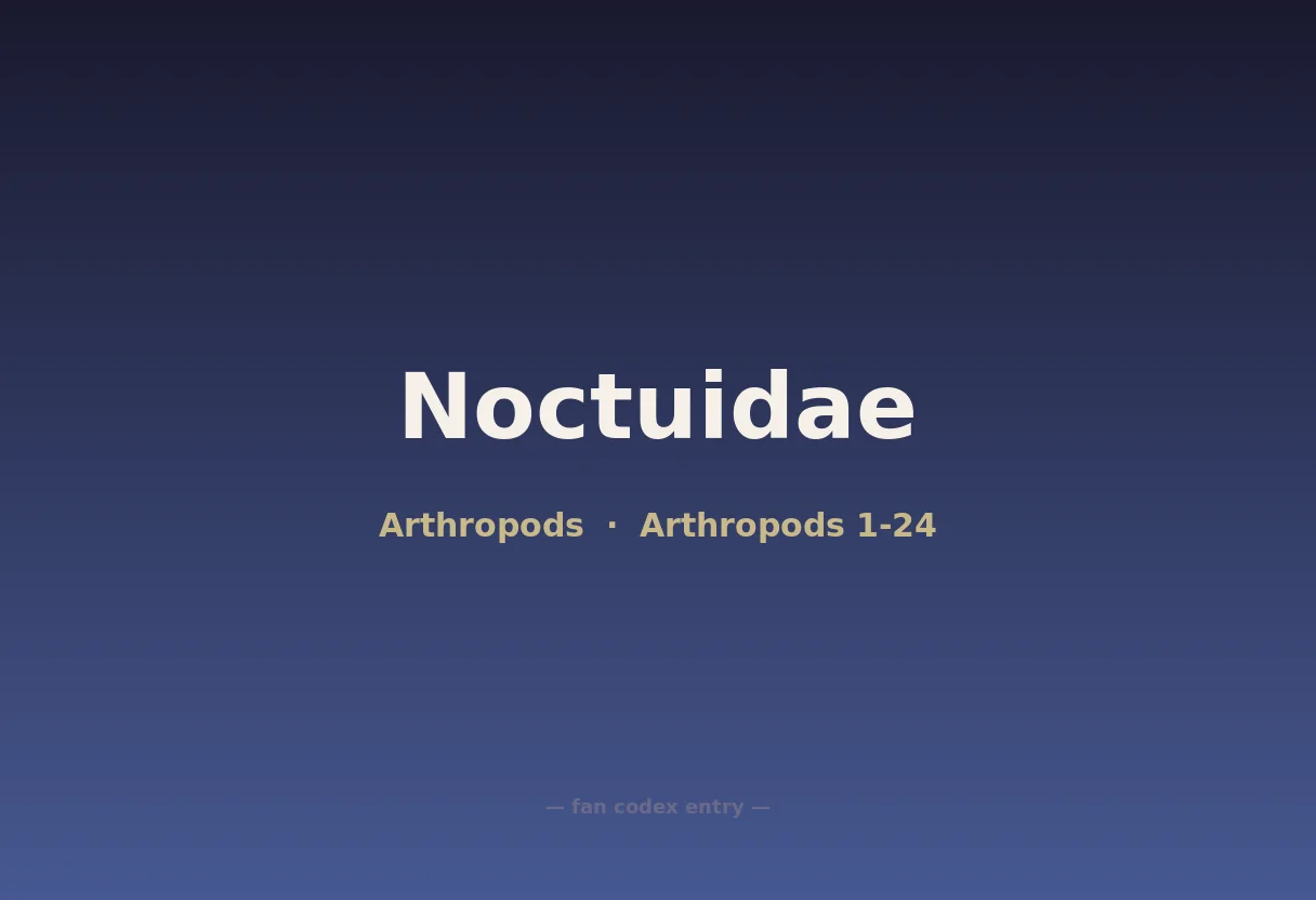 Noctuidae