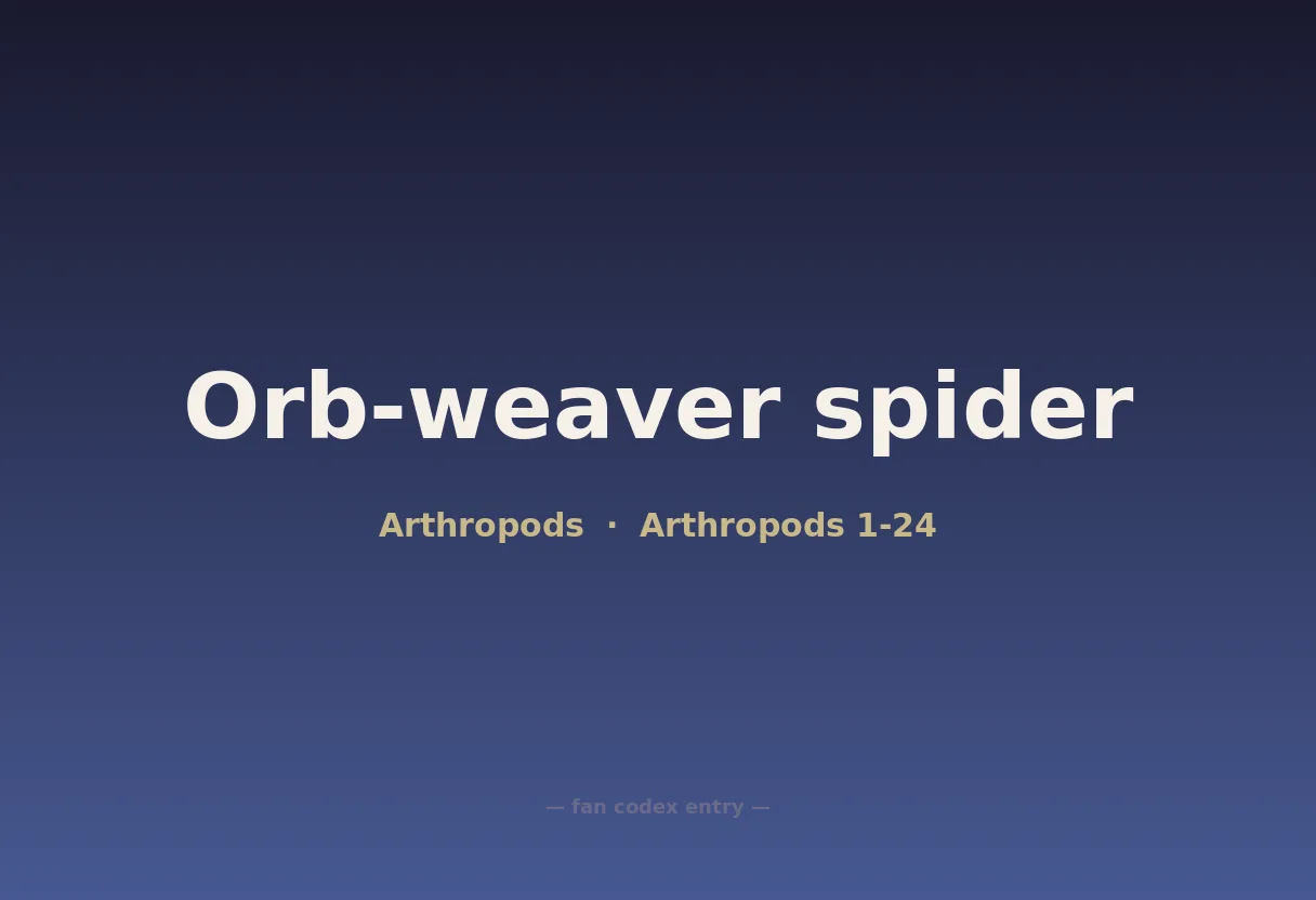 Orb-weaver spider