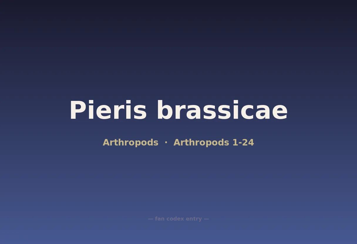 Pieris brassicae
