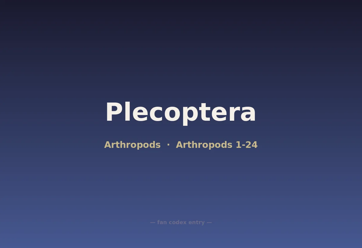 Plecoptera