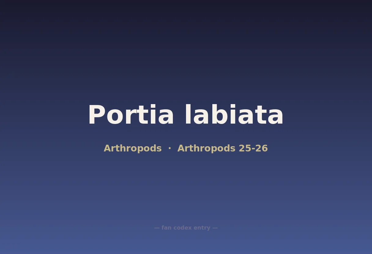 Portia labiata